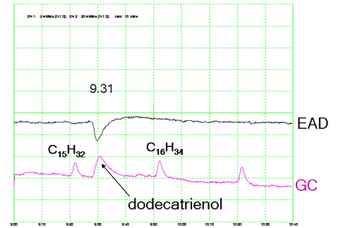 dodecatrienol ead