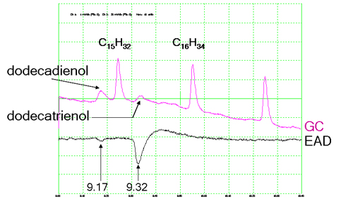 dodecadienol ead