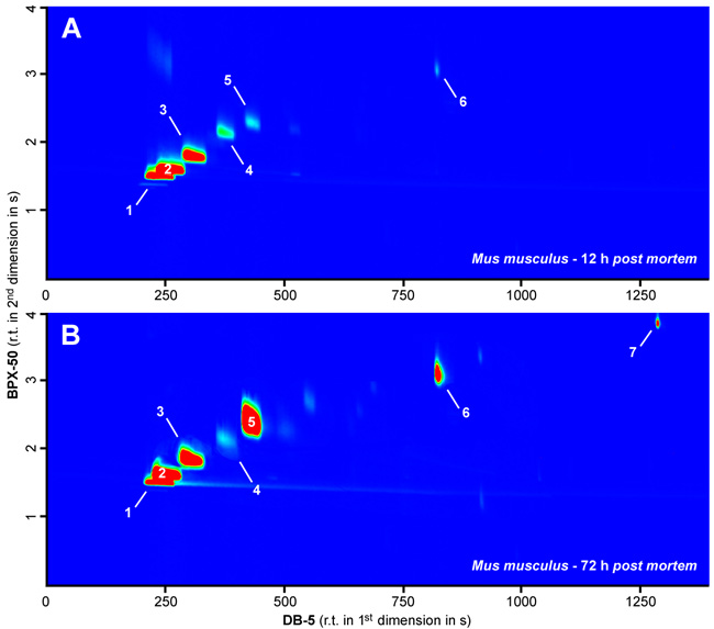 GC×GC-TOFMS analysis