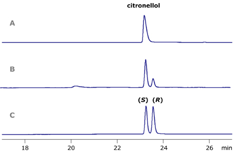 citronellol enantiomers on the chiral column