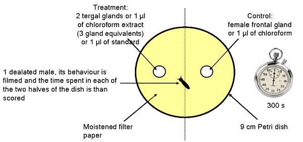 Behavioural tests