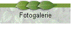 Fotogalerie