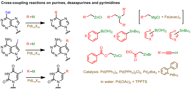 Development of novel methodologies for the synthesis of modified nucleobases and nucleosides