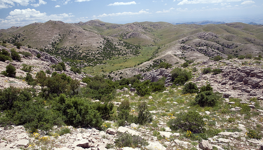 Nemrut Dagi - locality