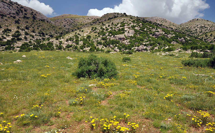 Nemrut Dagi - locality