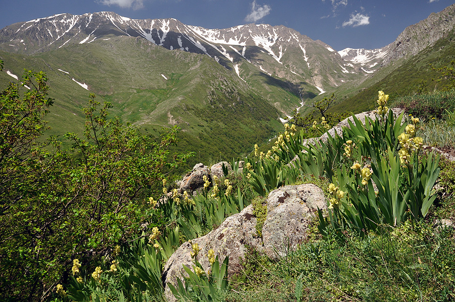 Zangezur Mts. ridge