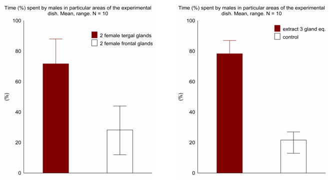 Female tergal glands and glandular extracts