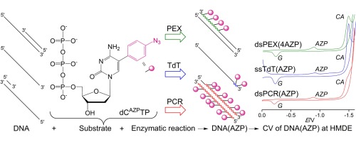 Chemical biology of base-modified nucleic acids