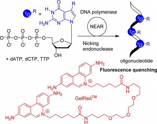 Chemical biology of base-modified nucleic acids