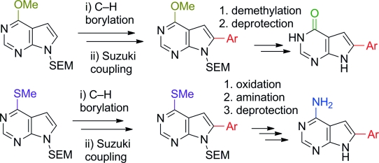 Chemical biology of base-modified nucleic acids