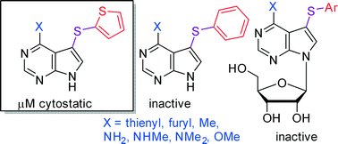 Chemical biology of base-modified nucleic acids