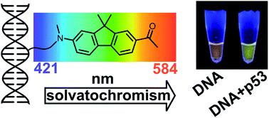 Chemical biology of base-modified nucleic acids