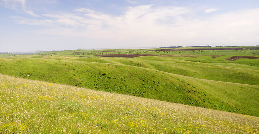 Steppes in Kasristskali environs