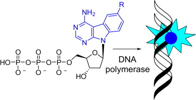 Chemical biology of base-modified nucleic acids