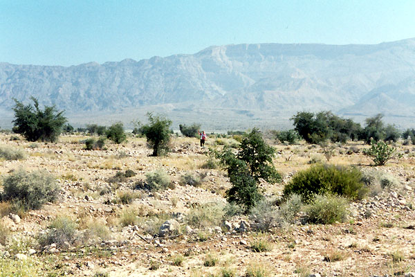 South Iran 2002 - expedition