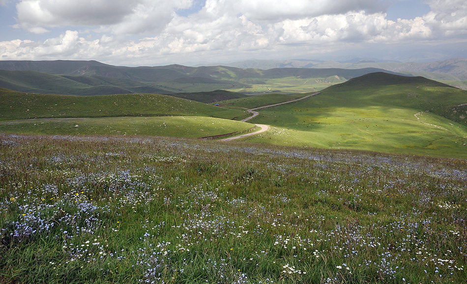 Mountain meadows in Vaghatur environs