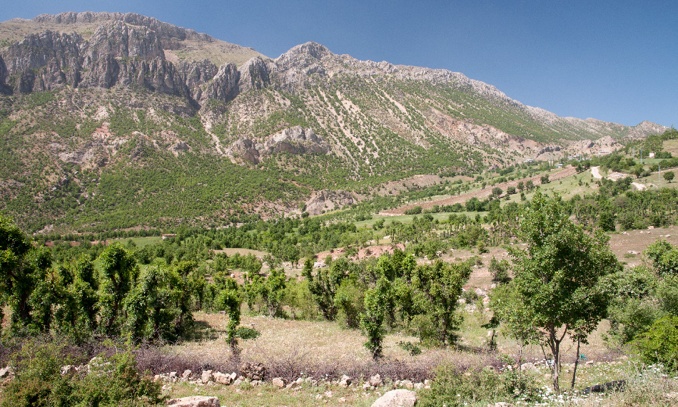 Karadut village environs