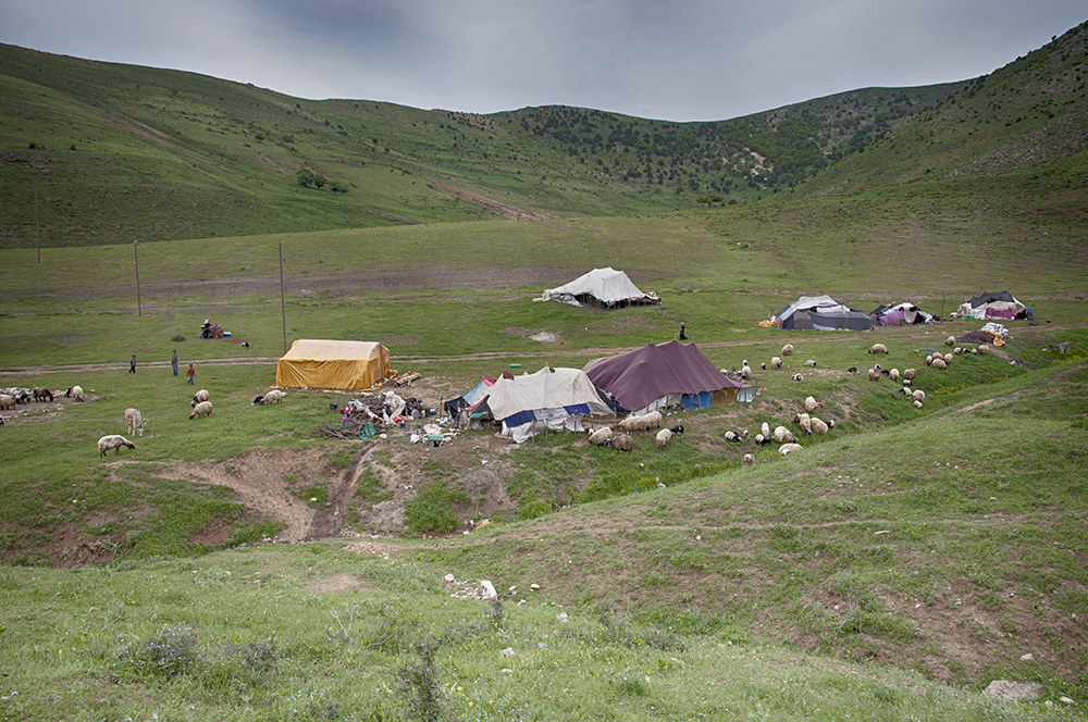 summer camp of Kurdish shepheds