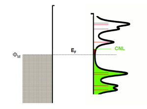 charge neutrality level, level alignment