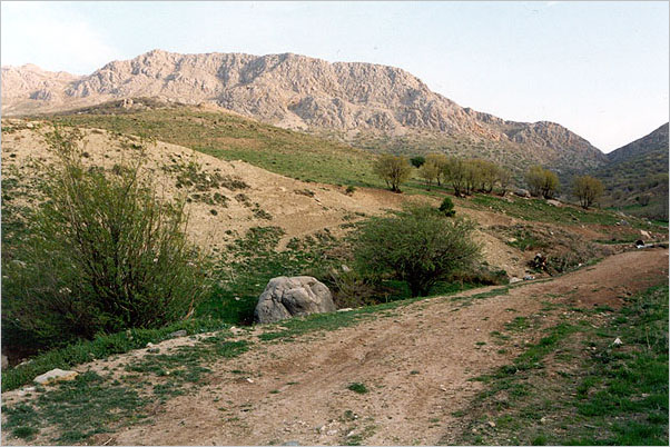 South Iran 2002 - expedition