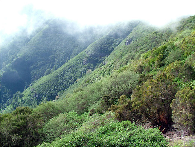 Canary Islands 2004 - expedition