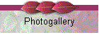 Photogallery