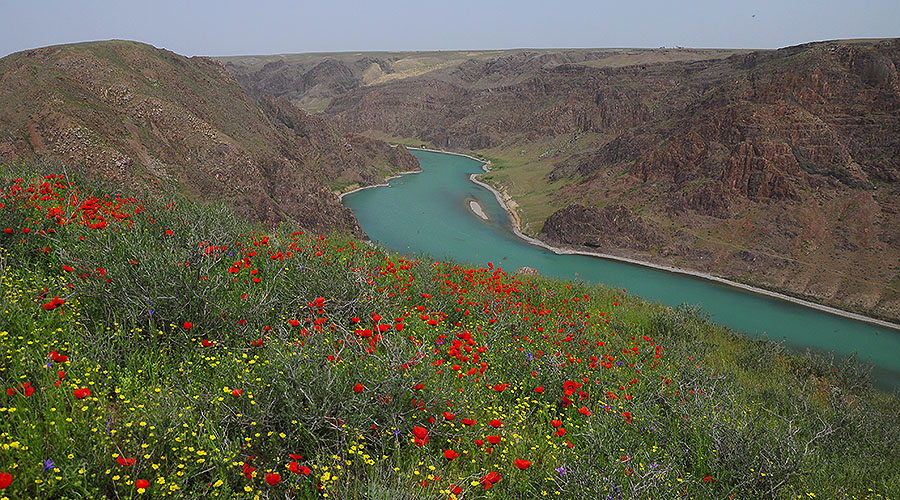 Ili River valley