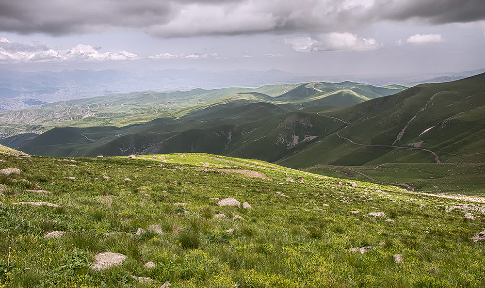 Dorcadion sevliczi - locality