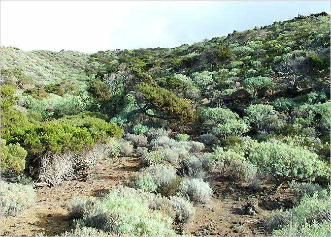 Canary Islands 2004 - expedition