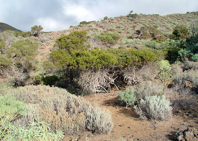 Canary Islands 2004 - expedition