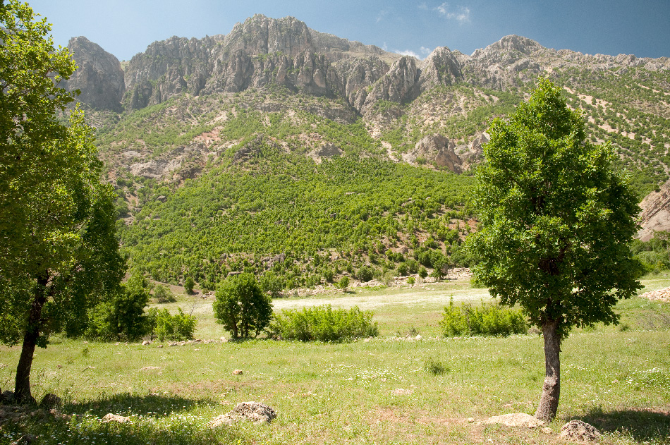 Karadut village environs