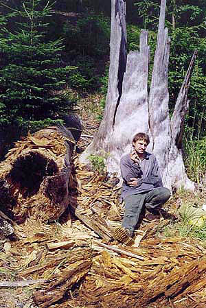 habitat