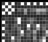 Raw intensity file grid