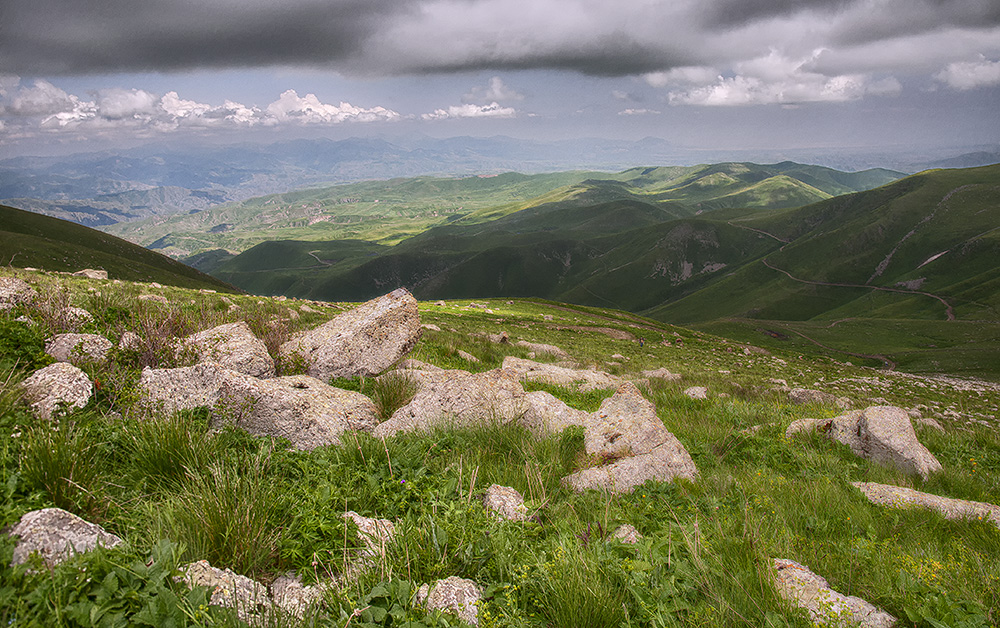 Dorcadion sevliczi - locality