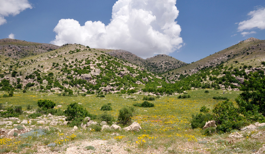 Nemrut Dagi - locality