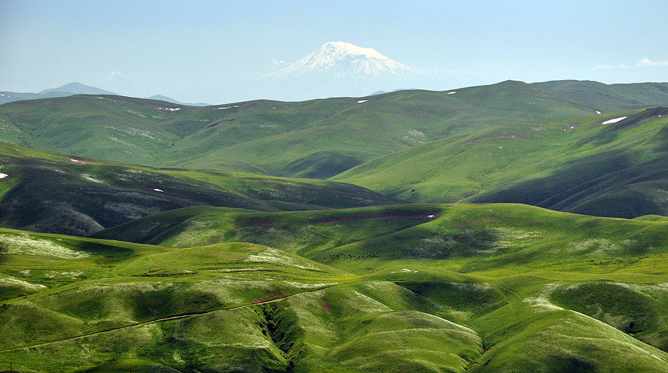 Ararat