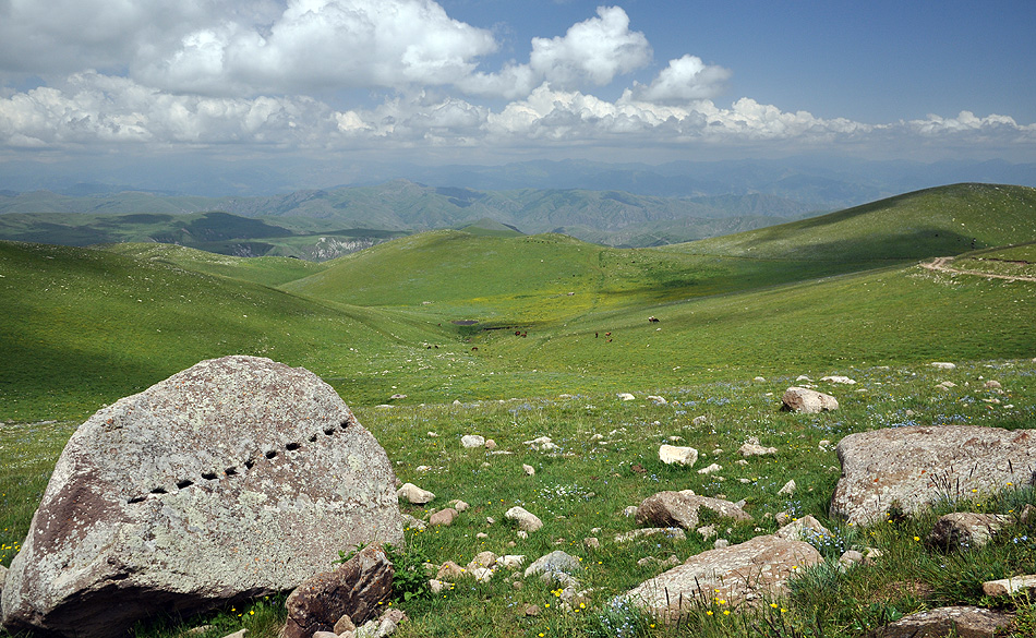 Mountain meadows in Vaghatur environs