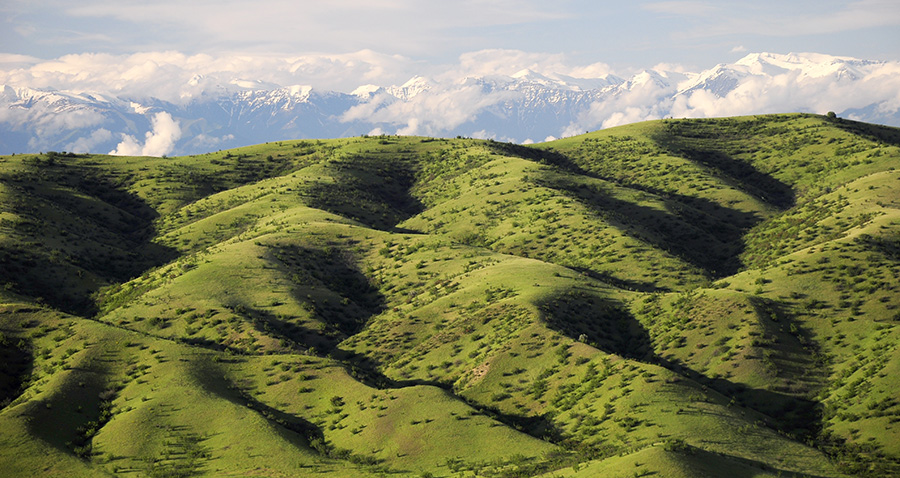 Steppes in Kasristskali environs