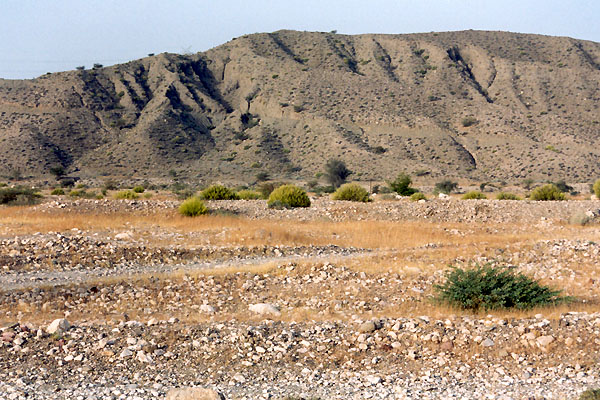 South Iran 2002 - expedition