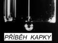 Příběh kapky