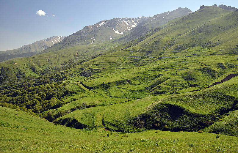Mountain meadows in Kajaran environs