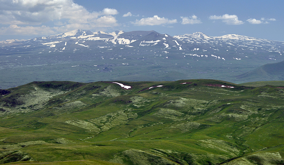 Mountain meadows in Semyonovka environs