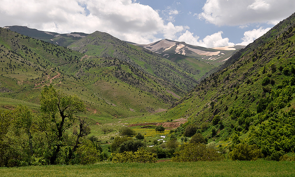 Mountain valley in Güreşçi environs