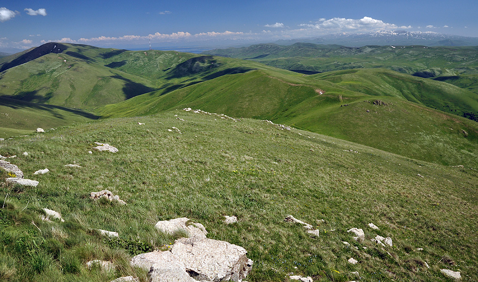 Mountain meadows in Semyonovka environs