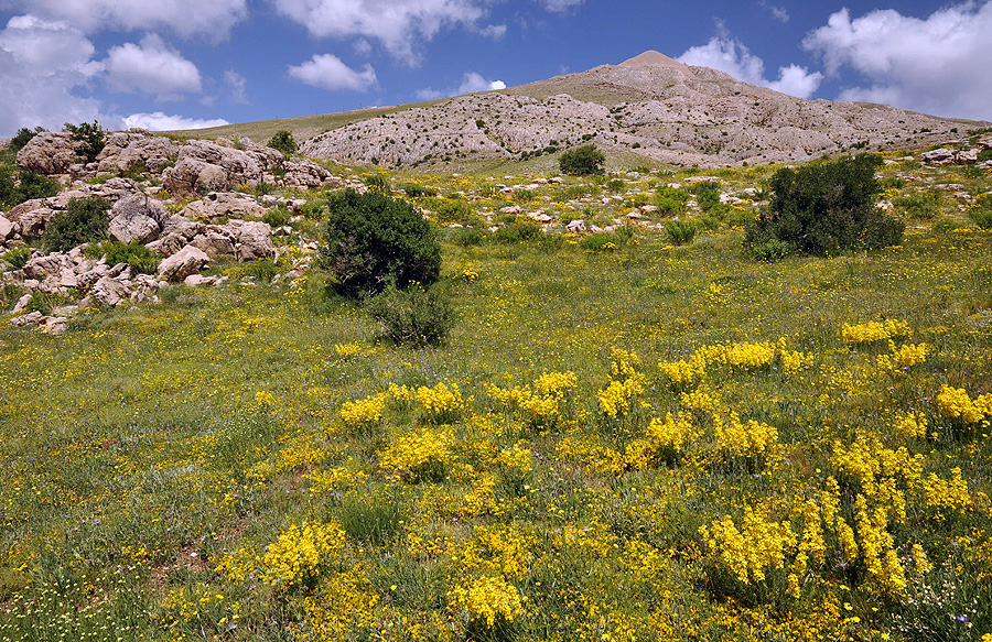 Nemrut Dagi - locality