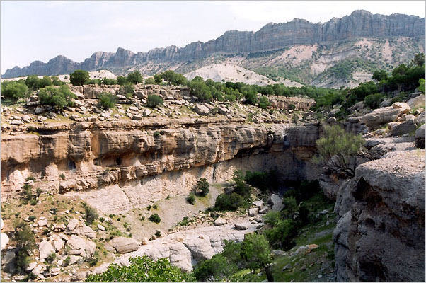 South Iran 2002 - expedition