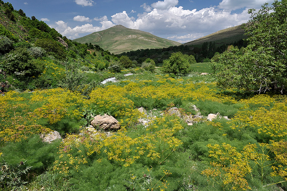 Mountain valley in Güreşçi environs