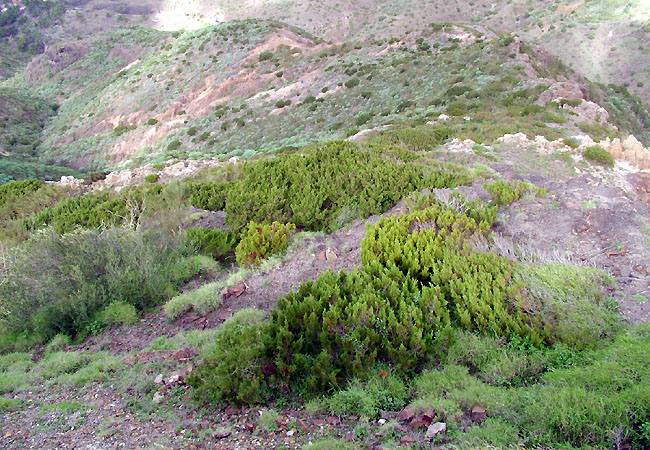 Canary Islands 2004 - expedition