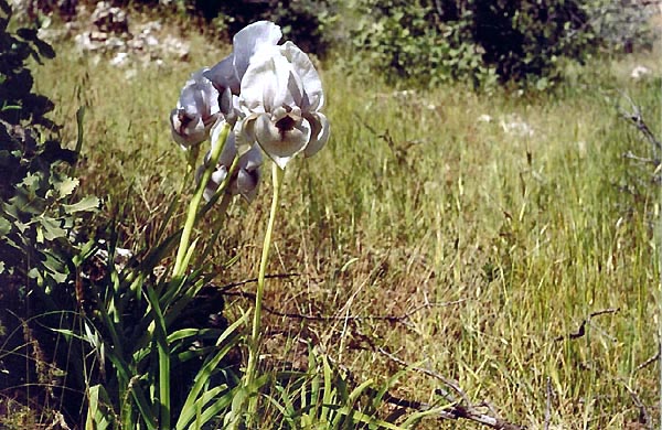 TURKEY 2001 - expedition