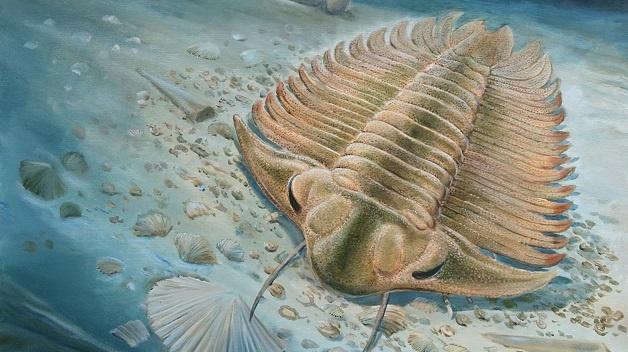 Český trilobit poprvé v Nature! Paleontologové dobře vědí, co pozřel